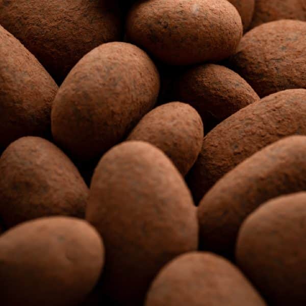 Amandes princesse Coffola lait